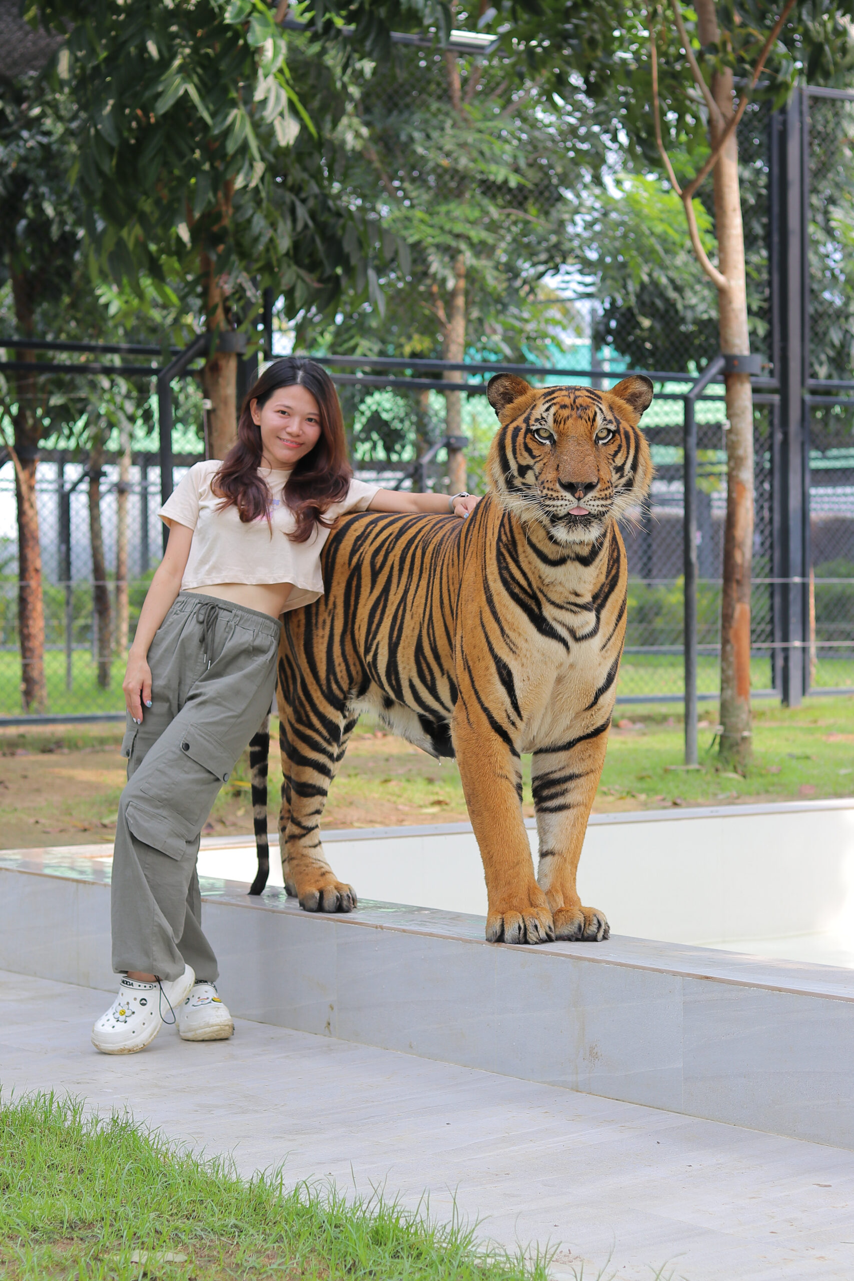 Tiger world Thialand 泰國曼谷丹嫩莎朵老虎園