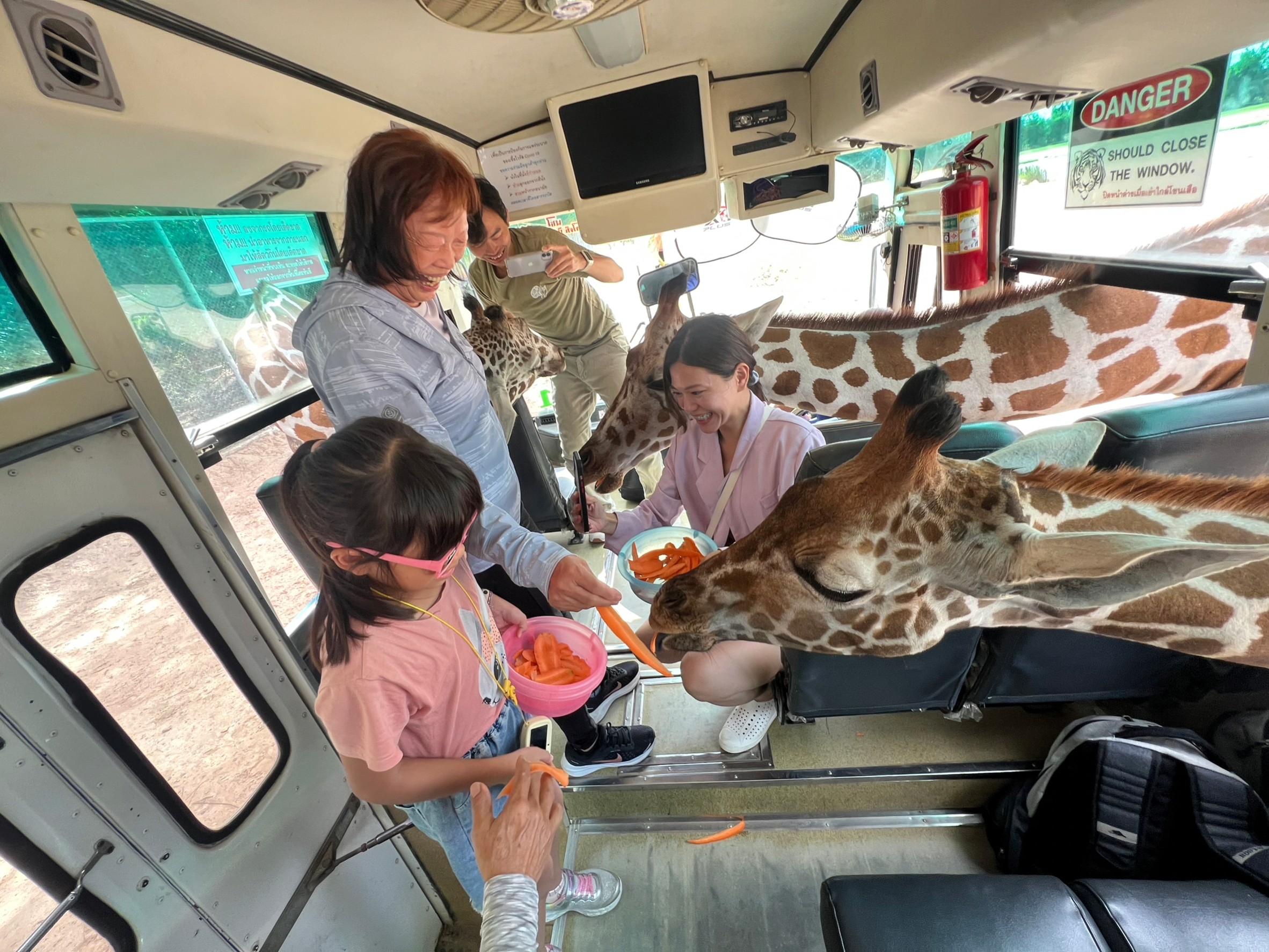 北碧府野生動物Safari Park Kanchanaburi免費遊園車