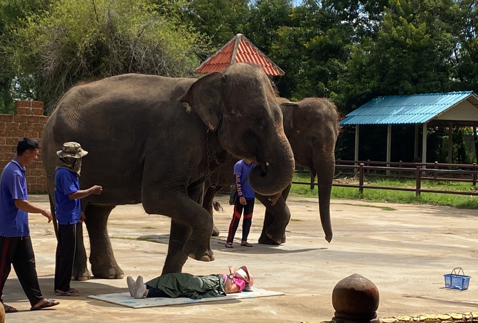 北碧府野生動物園Safari Park Kanchanaburi大象表演