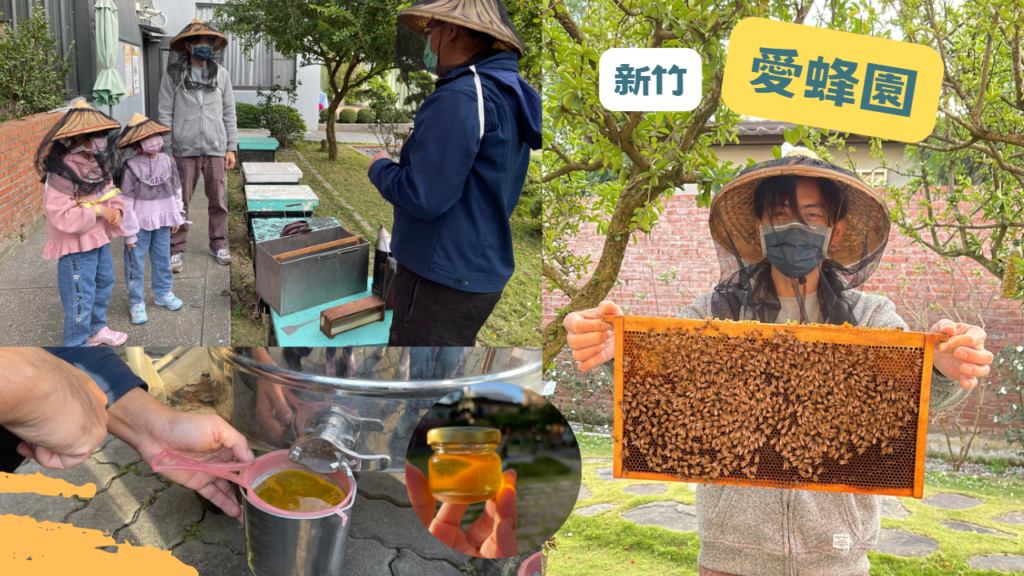 新竹親子景點愛蜂園蜜蜂生態導覽