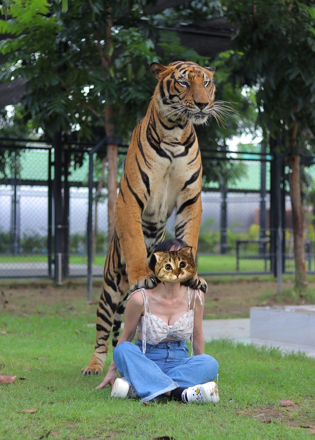 Tiger world Thialand 泰國曼谷丹嫩莎朵老虎園
